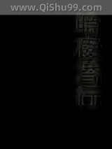 暗夜潜行小说