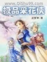 极品采花侠小说