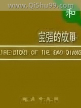 宝强的故事小说