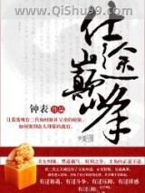 仕途巅峰小说