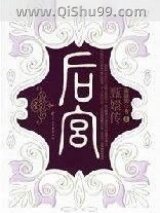 后宫·甄嬛传1-3部小说