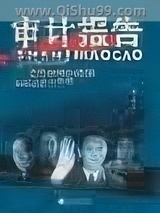 审计报告小说