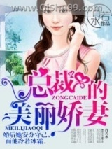 总裁的美丽娇妻小说