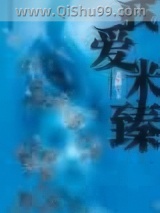我爱米臻小说