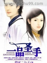 一品圣手小说