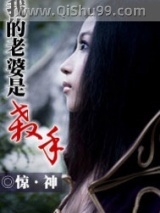 我的老婆是杀手小说