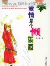 爱情是个懒东西小说