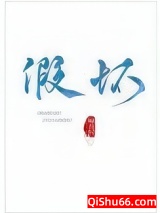 假坏小说