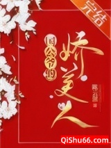 国公夫人多娇艳[重生]小说