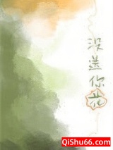 没送你花小说