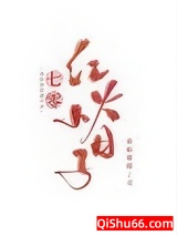 七零红火小日子小说