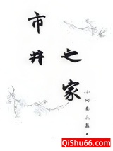 市井之家小说