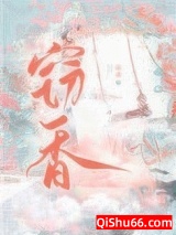 窃香小说