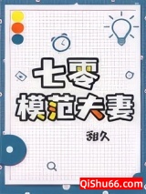 七零模范夫妻小说