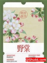 野棠小说