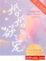 婚婚欲宠小说