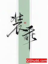 装乖小说