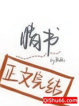 失眠情书小说