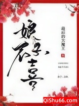 娘子不喜小说