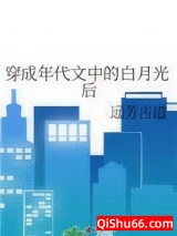 穿成年代文中的白月光后小说