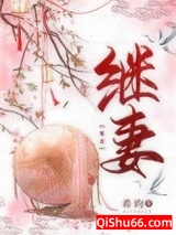 继妻小说