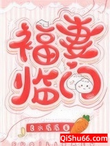 福妻临门小说