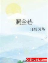 照金巷小说