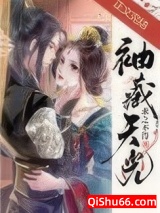 袖藏天光小说