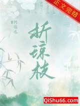 折琼枝小说