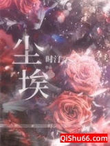 尘埃小说