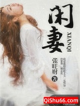 闲妻小说