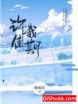 许我佳期小说