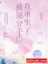 被逼分手后我重生了小说