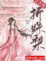 折姝梨小说