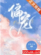 偏宠小说