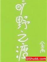 旷野之渡小说