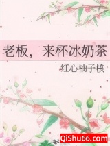 老板，来杯冰奶茶小说