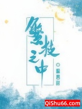 繁枝之中小说