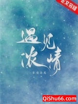 遇见浓情小说