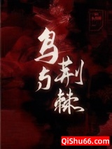 鸟与荆棘小说
