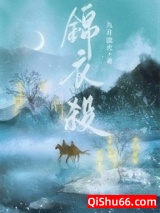 锦衣杀小说