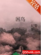 困鸟小说