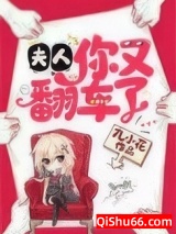 夫人，你又翻车了小说