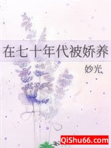 在七十年代被娇养小说
