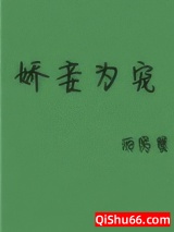 娇妾为宠小说