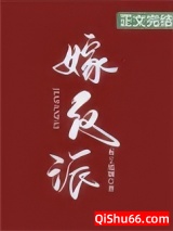 嫁反派小说