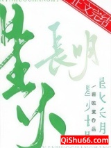 星火长明小说