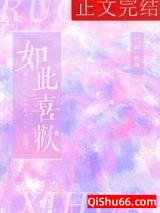 如此喜欢小说