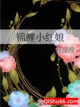 锦鲤小红娘小说