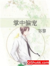 掌中偏宠小说